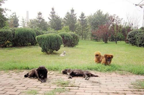 “ayx官网”关于中国与环境的新年书单