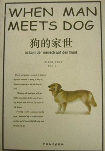 千亿体育：离队倒计时？伊布欲留米兰潜在新帅不想要他【ayx官网】