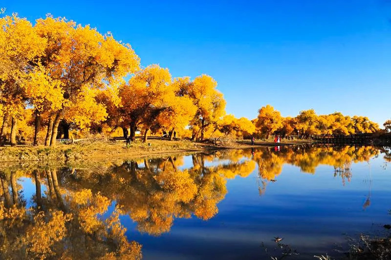 知否林小娘原著了局比电视剧惨烈无数倍大娘子的抨击太让人解气了:ayx官方网站(图7) 爱游戏(ayx)中国官方网站