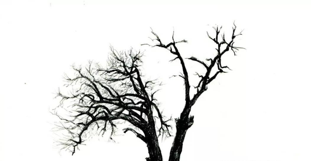 【推荐】手绘教程低级自学|爱游戏(ayx)中国官方网站(图6)
【推荐】手绘教程低级自学|爱游戏(ayx)中国官方网站(图6)