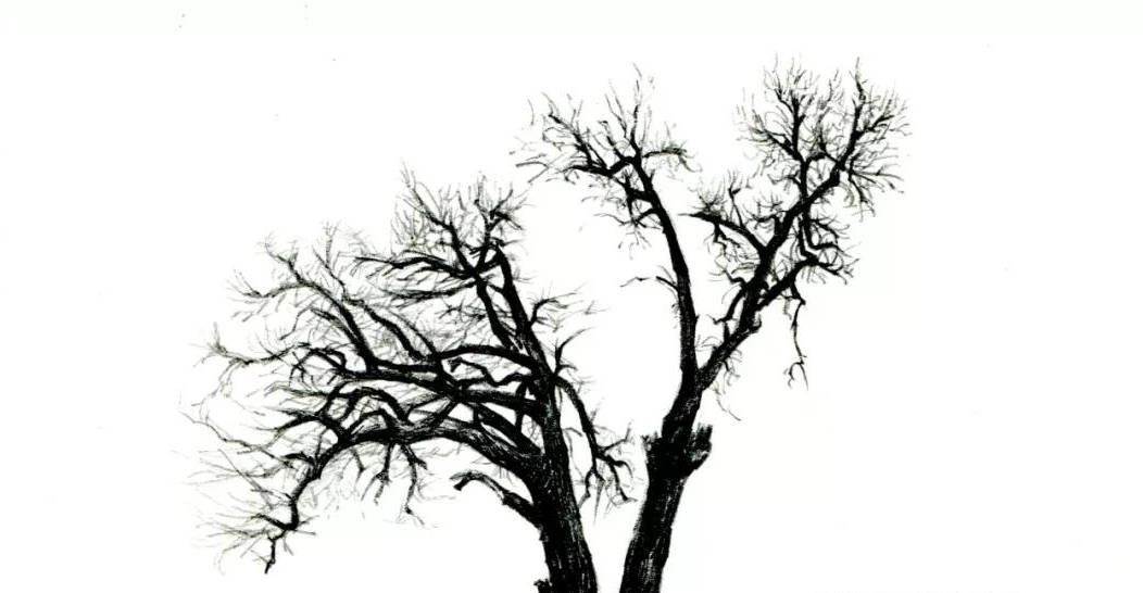 【推荐】手绘教程低级自学|爱游戏(ayx)中国官方网站(图8)
【推荐】手绘教程低级自学|爱游戏(ayx)中国官方网站(图8)