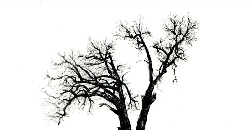 【推荐】手绘教程低级自学|爱游戏(ayx)中国官方网站(图9)
【推荐】手绘教程低级自学|爱游戏(ayx)中国官方网站(图9)