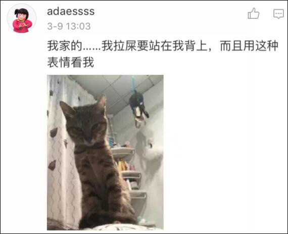 女人对你动了情，不会直说，而是这样“撩”你：ayx官网