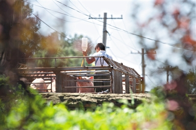 生态环境部有关负责人就《清洁生产审核评估与验收指南》有关问题答记者问【ayx官网】