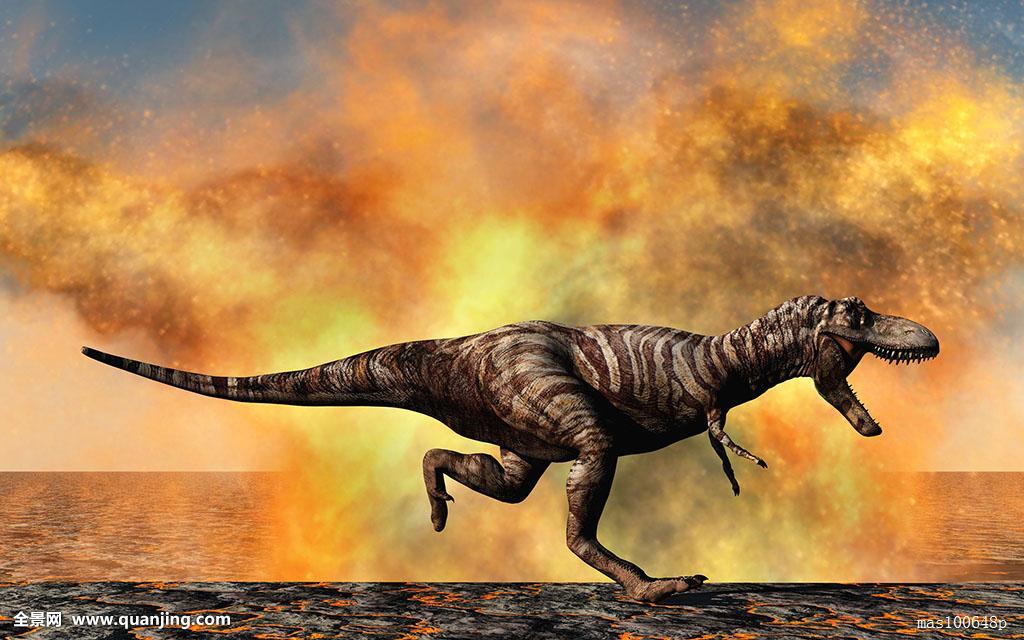 湿地公园人与自然和谐共生的乐土-ayx官方网站(图4) 爱游戏(ayx)中国官方网站