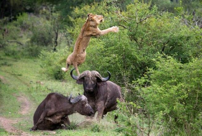 利物浦欧冠输球凯塔受伤入院，球迷称这是拉莫斯又在发功_ayx官方网站