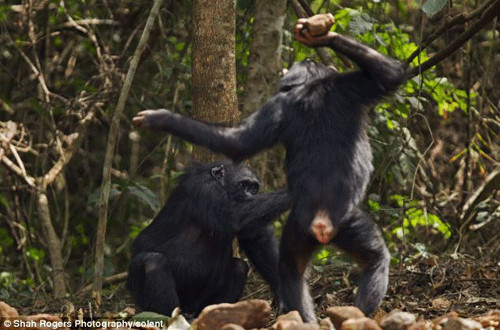 ‘ayx官方网站’
“智汇安达•共赢未来