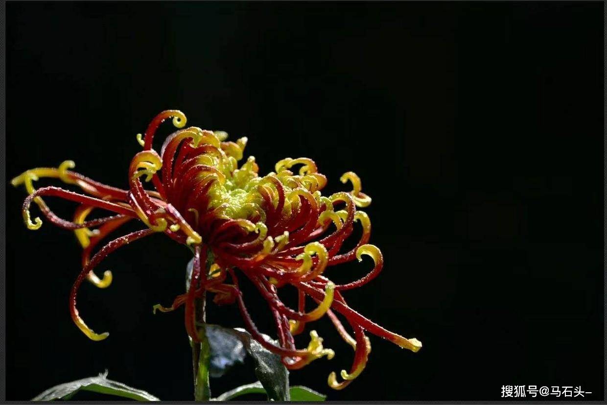 岂非你们不明白吗|ayx官网(图2)
岂非你们不明白吗|ayx官网(图2)