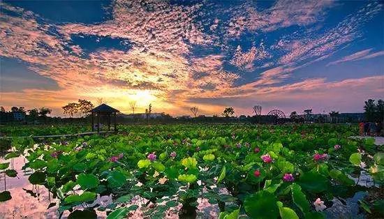 全球90%以上儿童每天呼吸有毒的空气‘ayx官方网站’(图4) 爱游戏(ayx)中国官方网站