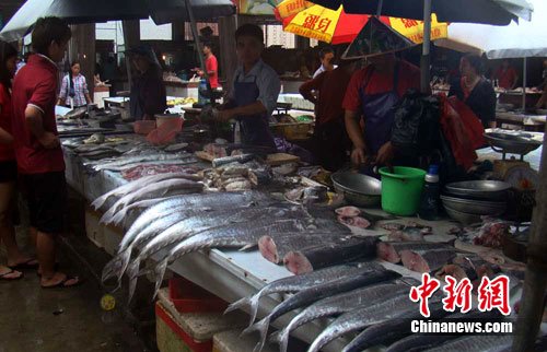 
时隔十年！朱芳雨再度回应组合拳打巴西扎心内幕：事后处罚很严重_ayx官网
