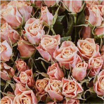 一般的女人不户外 爱户外的女人纷歧般|爱游戏(ayx)中国官方网站(图6) ayx官网