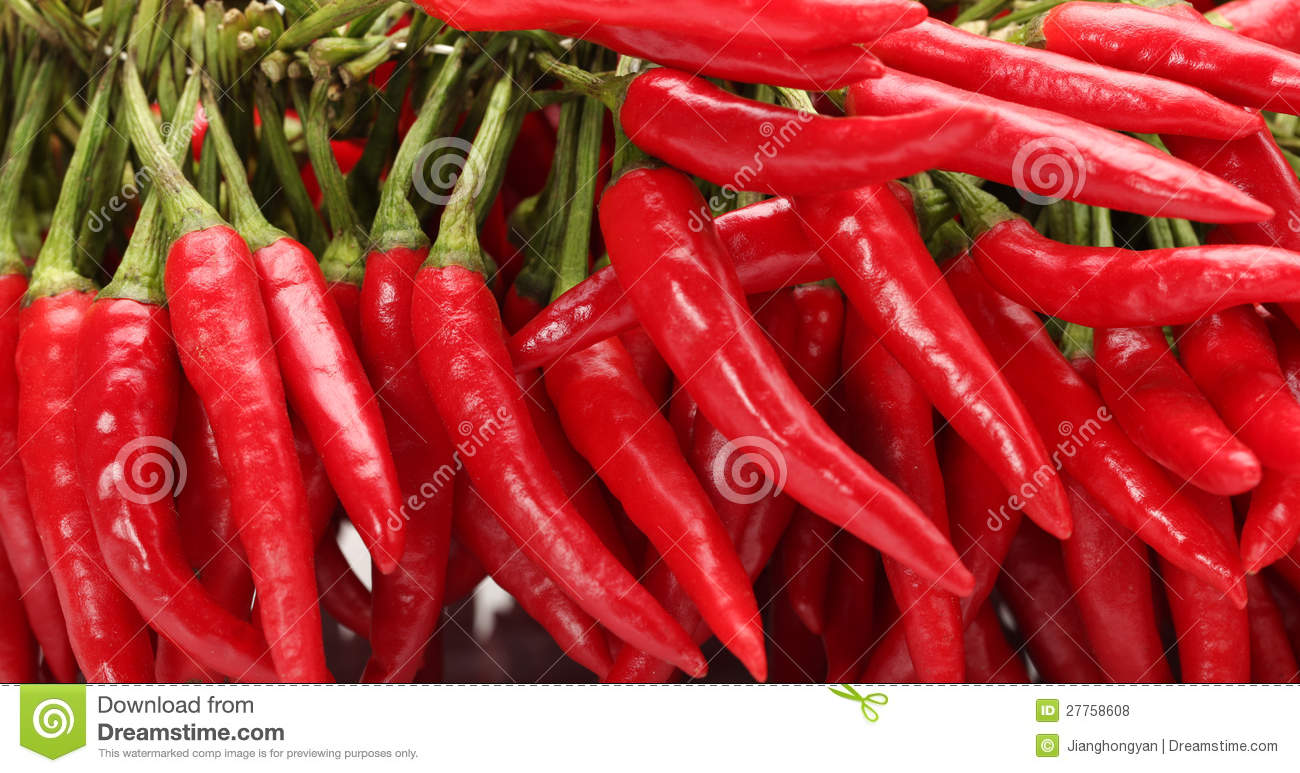 ‘ayx官方网站’100多位国内外湿地专家汇聚盐城 研究探讨湿地保护对策(图4) 爱游戏(ayx)中国官方网站