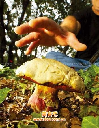 【ayx官方网站】破魔头还是第五次征服西蒙尼欧冠(图2) 爱游戏(ayx)中国官方网站