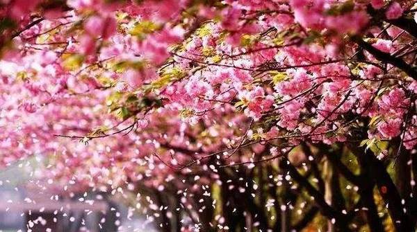 爱游戏（ayx）中国官方网站