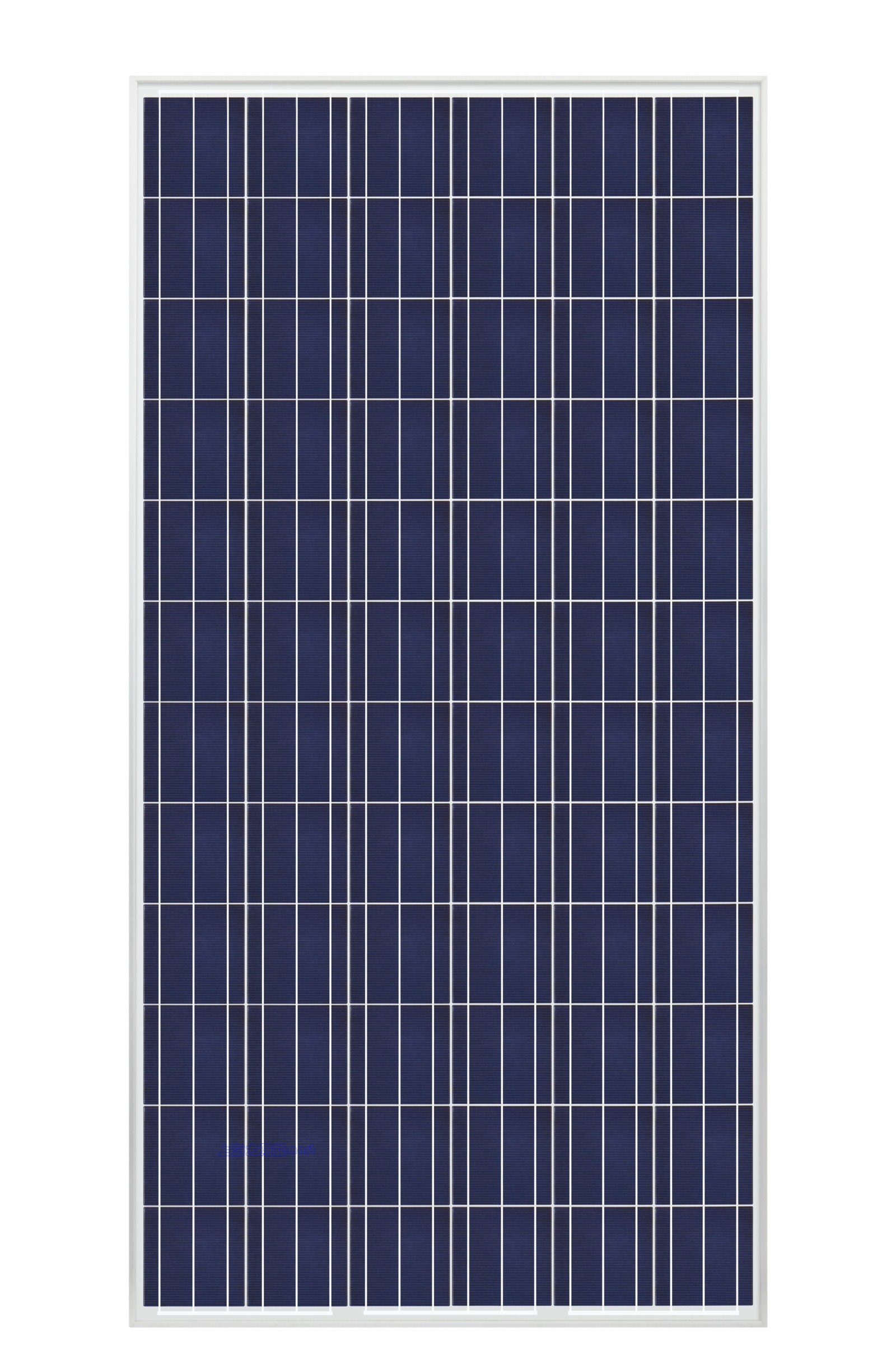 央视今日节目单 CCTV5直播军运会中国女排PK巴西,2平台转4场欧冠-爱游戏(ayx)中国官方网站(图2) ayx官网