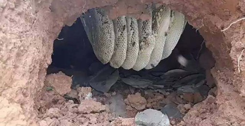 【ayx官方网站】地球平均气温的进一步上升将导致暴雨和洪水的急剧增加(图2) ayx官方网站