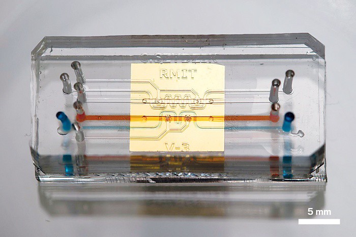 爱游戏（ayx）中国官方网站