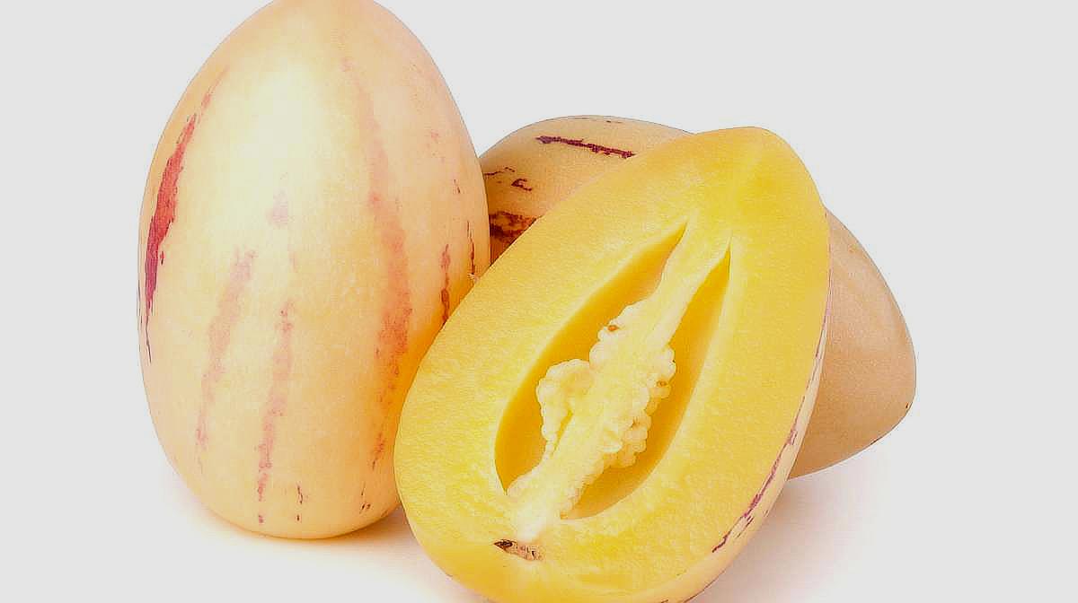 “ayx官方网站”正在播出：《星光大道》2020年度总决赛