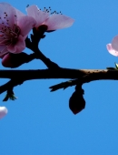 【化学课】第VIII族元素|ayx官网