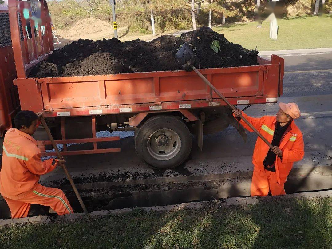 【爱游戏（ayx）中国官方网站】
创文守卫不停步 文明新区更靓丽(11月7日)(图3)