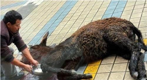 爱游戏（ayx）中国官方网站|欧冠最新积分战报 皇马国米造真正死亡之组 利物浦曼城小组第1