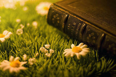 爱游戏（ayx）中国官方网站：
深圳自考中的“宽进严出”指的是什么(图5)