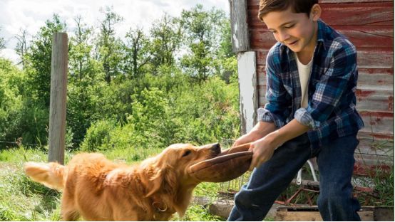 重工业推高中国碳排放-ayx官方网站