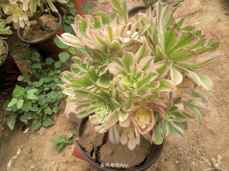 爱游戏（ayx）中国官方网站