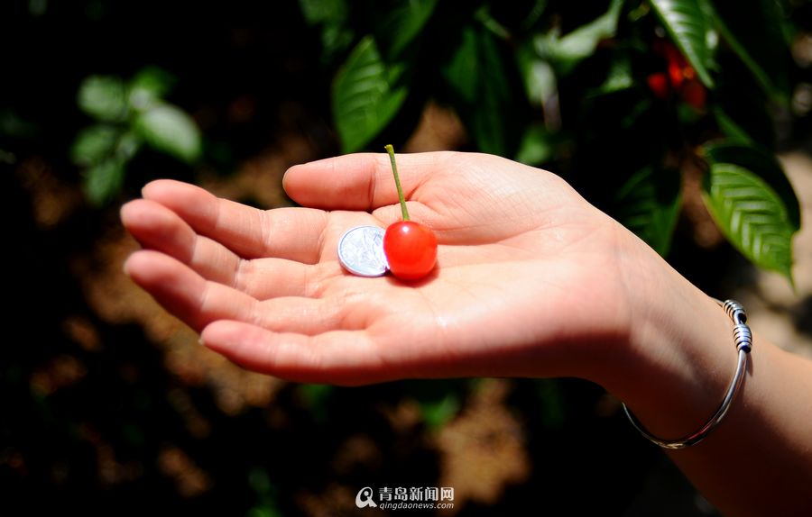 欧冠1/4决赛次回合马竞客战莱斯特城大名单|ayx官方网站