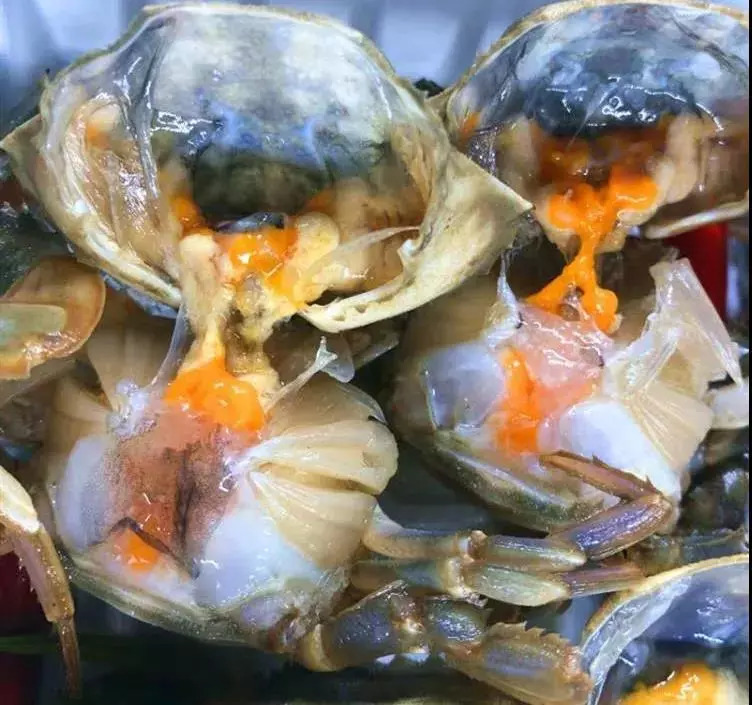 爱游戏（ayx）中国官方网站