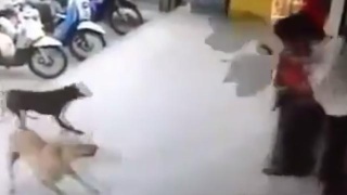 事情的情况和气氛对员工的影响很重要‘爱游戏(ayx)中国官方网站’(图3) ayx官网