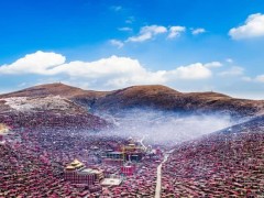 爱游戏（ayx）中国官方网站