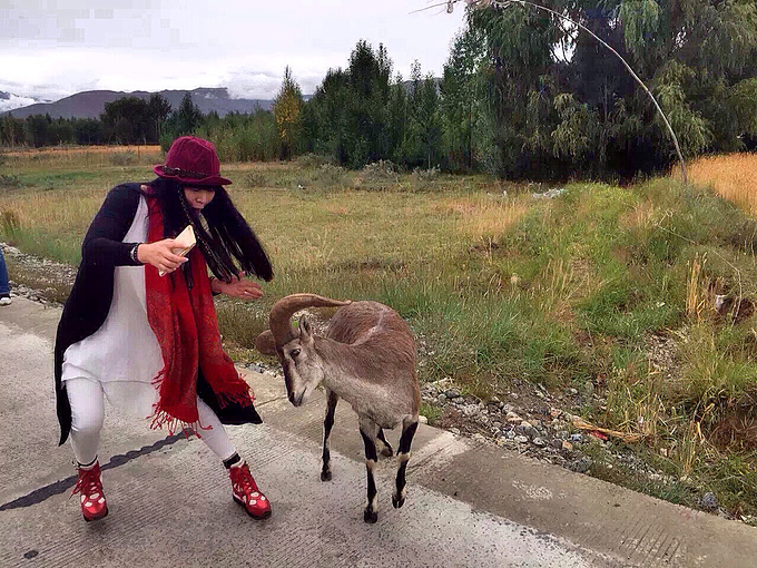 生态环境部通报表扬安徽、福建、广西3地环境违法犯罪案件办理工作|爱游戏（ayx）中国官方网站
