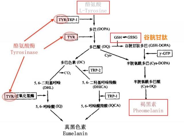 ‘ayx官方网站’利好重重！补贴欠补有望解决，第八批补贴目录即将公布