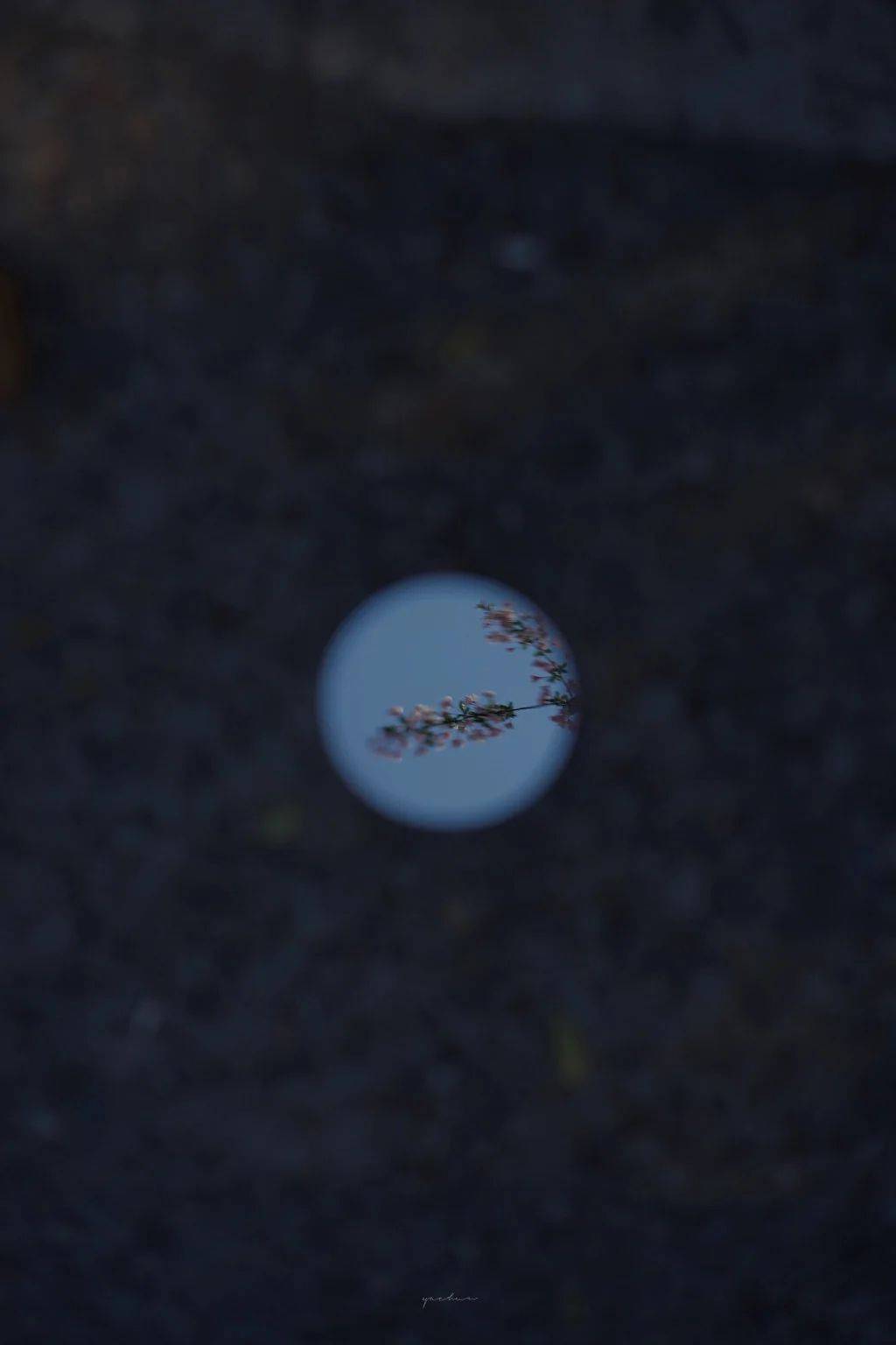 
晚放心语心情温暖的句子文字 经典说说暖心语录语句 配唯美图片‘ayx官网’(图8)