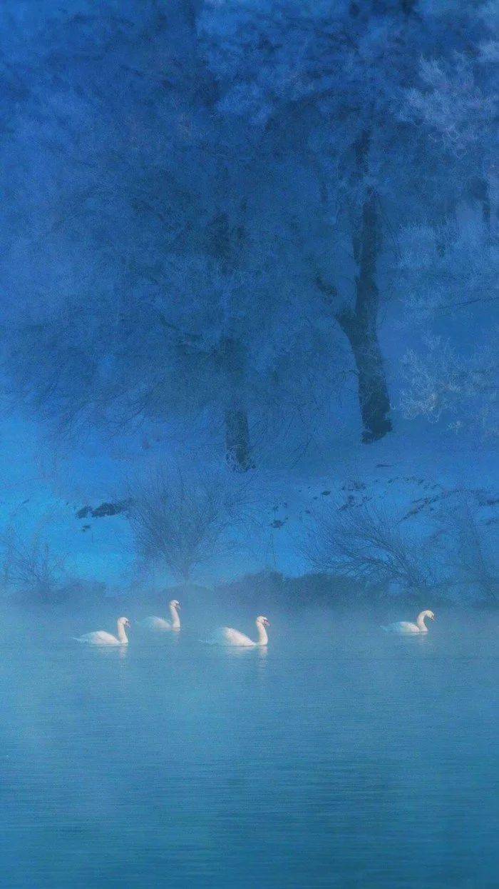 
晚放心语心情温暖的句子文字 经典说说暖心语录语句 配唯美图片‘ayx官网’(图20)