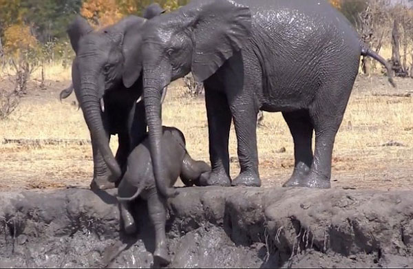 爱游戏（ayx）中国官方网站