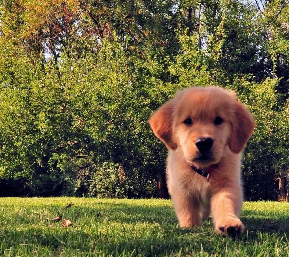 爱游戏（ayx）中国官方网站