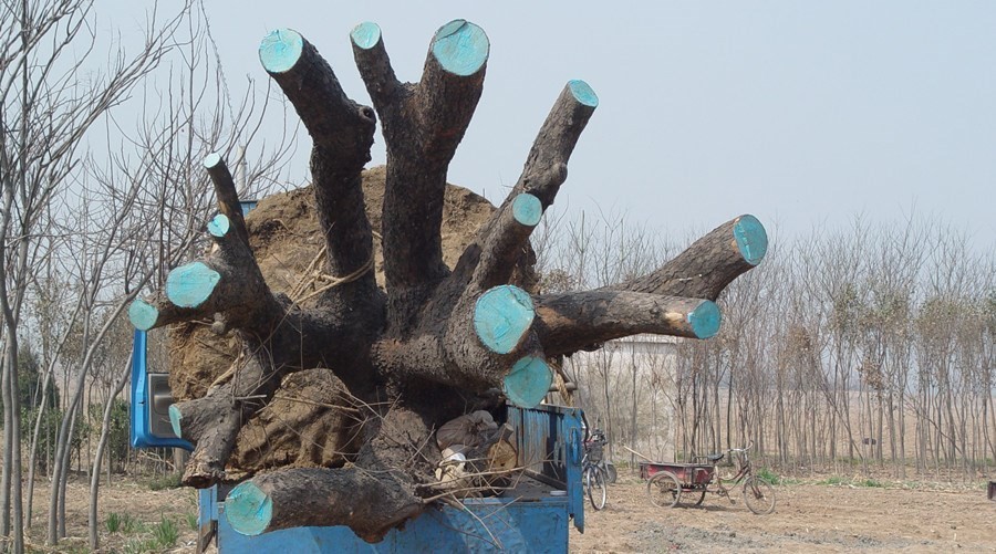 爱游戏（ayx）中国官方网站